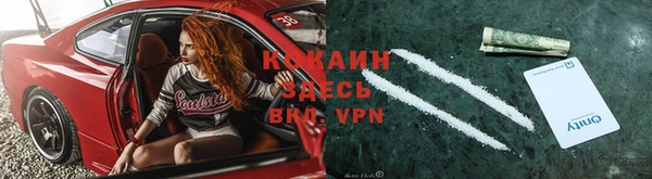 спиды Аркадак